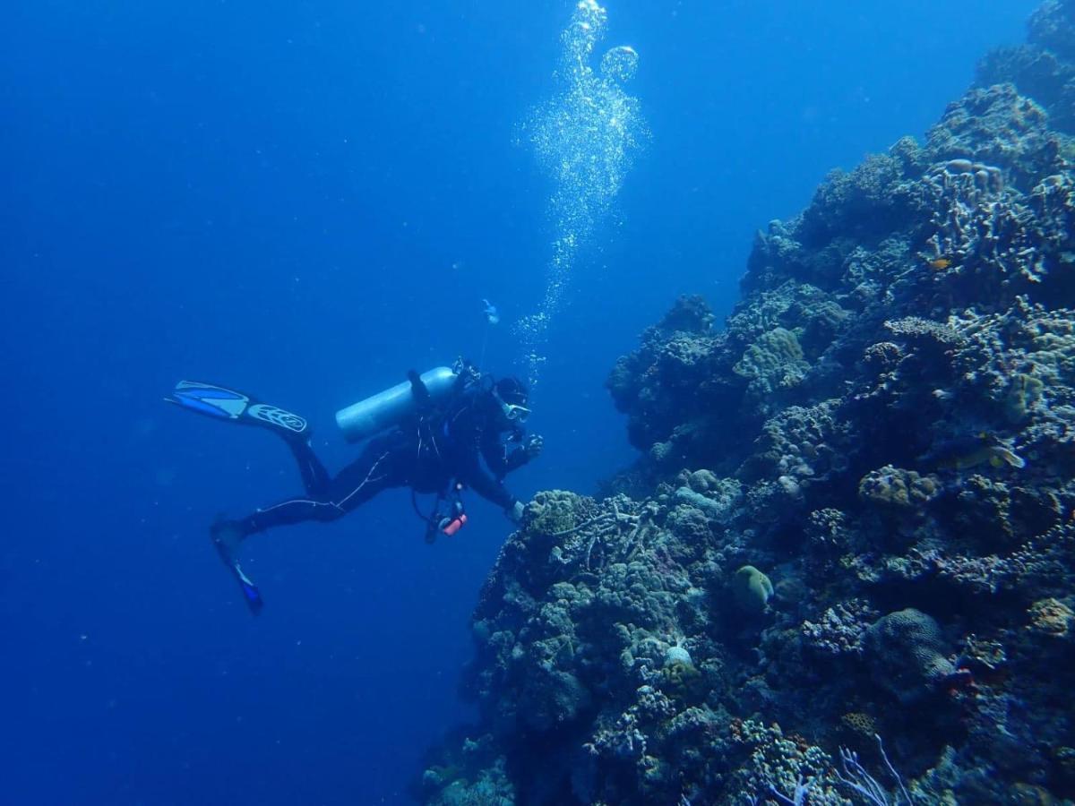 Love'S Beach & Dive Resort Moalboal Buitenkant foto