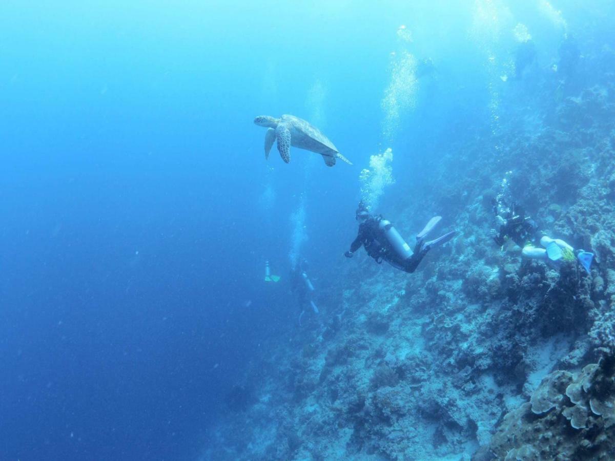 Love'S Beach & Dive Resort Moalboal Buitenkant foto